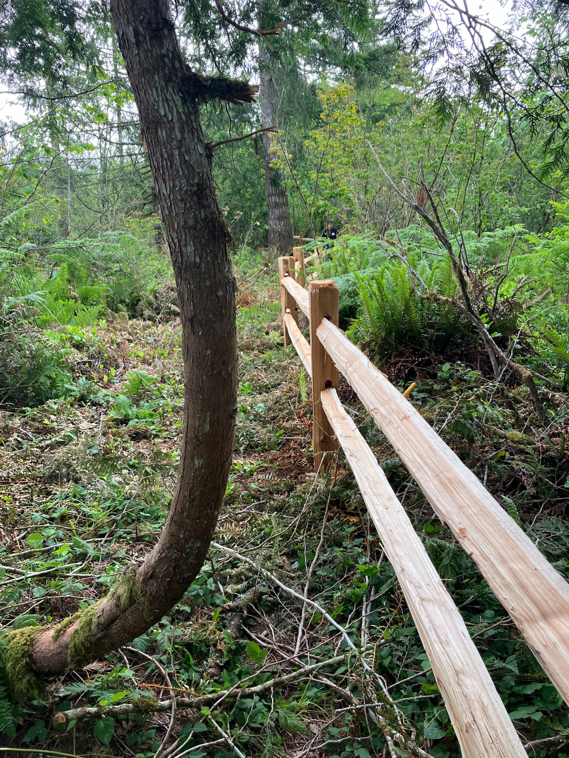 Split Rail Cedar Fence (1)